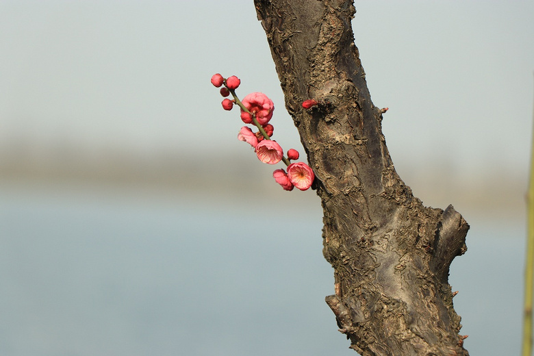 ��19¥APP������Ӱ�������ǰͿ˱��ӡ�ŷ�а�Ԫ���п����ؼң�