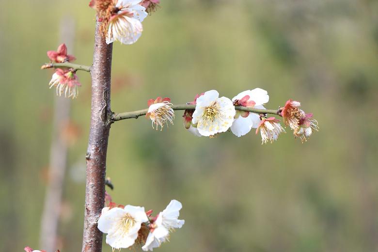 ��19¥APP������Ӱ�������ǰͿ˱��ӡ�ŷ�а�Ԫ���п����ؼң�