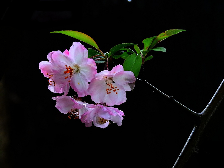 ��19¥APP������Ӱ�������ǰͿ˱��ӡ�ŷ�а�Ԫ���п����ؼң�