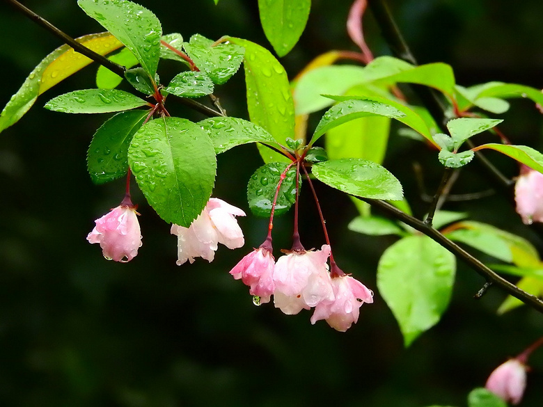 ��19¥APP������Ӱ�������ǰͿ˱��ӡ�ŷ�а�Ԫ���п����ؼң�