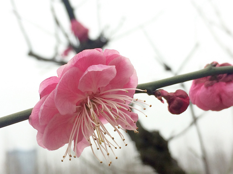 ��19¥APP������Ӱ�������ǰͿ˱��ӡ�ŷ�а�Ԫ���п����ؼң�