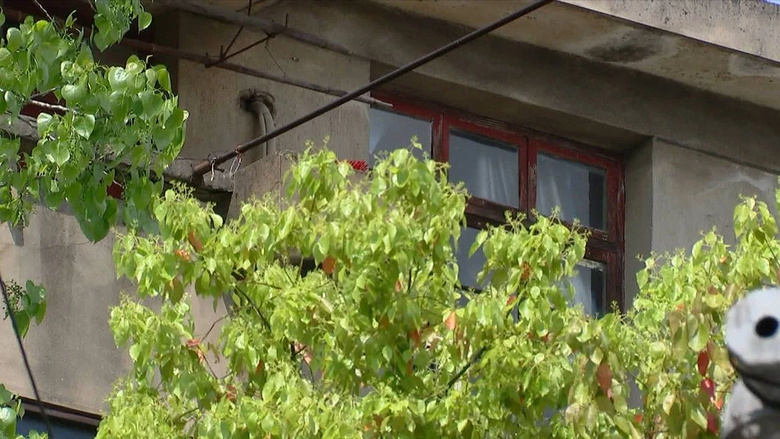 【房子没买成为啥收我中介费?】律师说应该收