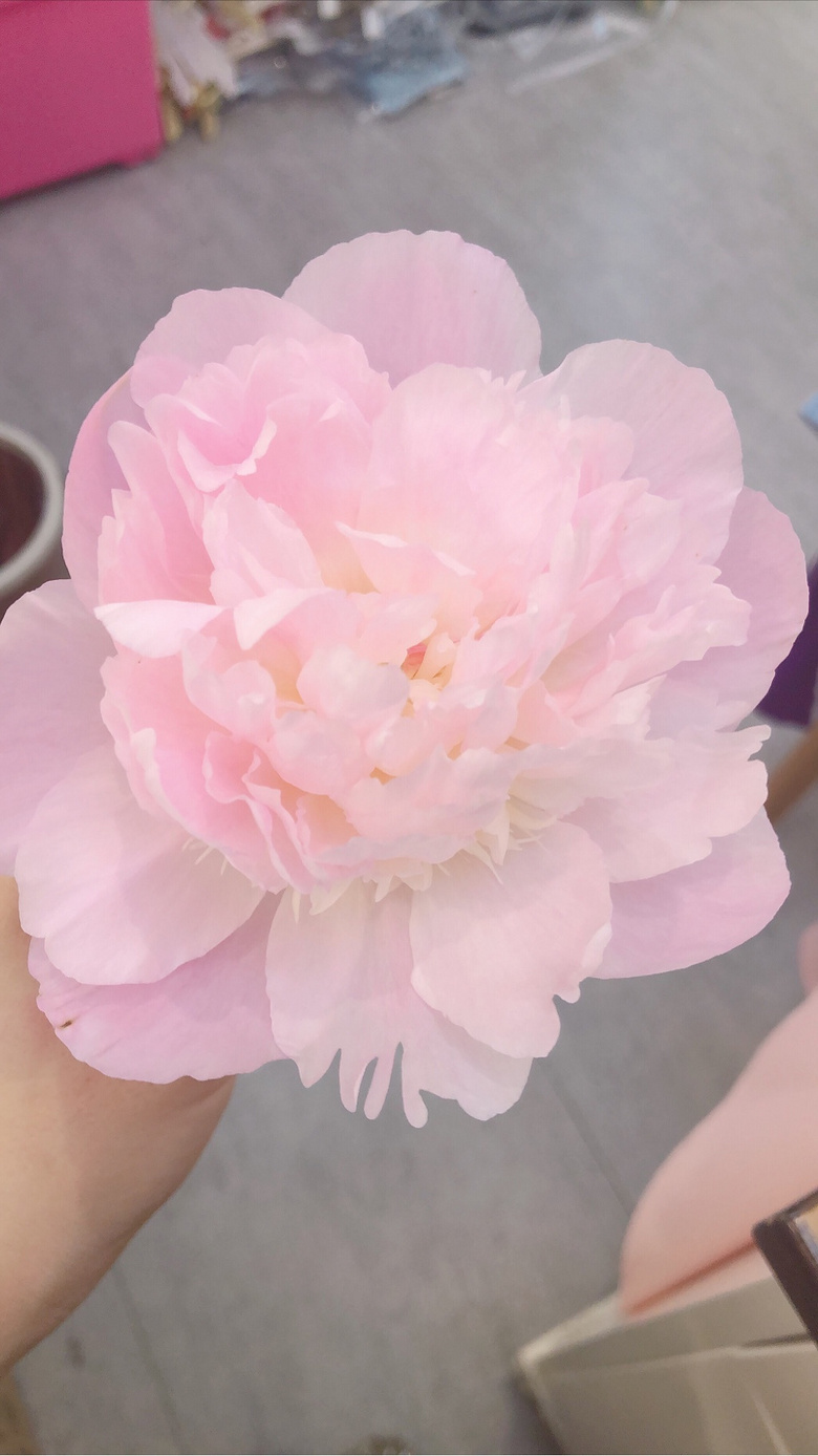 �Ի�û�еֿ���