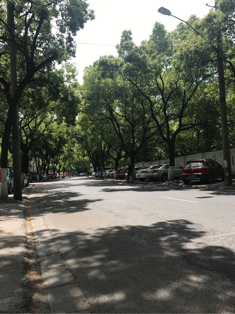 ��������Ŷ