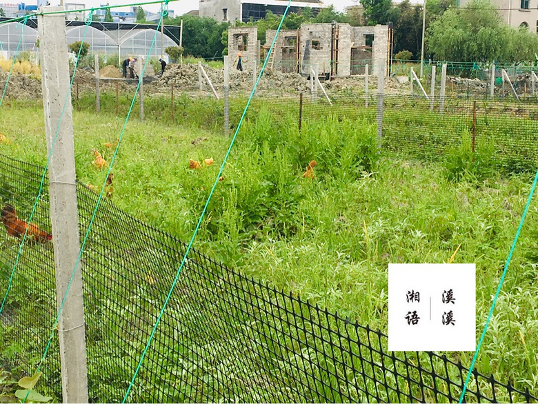 ���ũ�����볡ȯ��ͦ�ÿ�