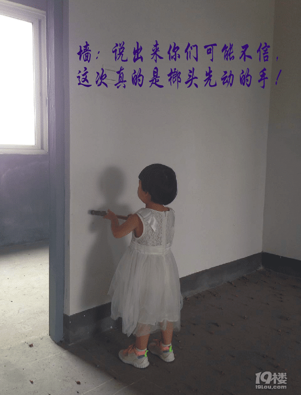 7志良聊装修-砸墙砌墙攻略