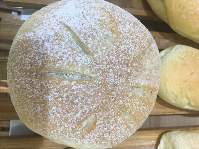 �¿�����̲�