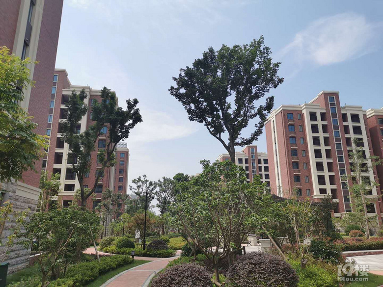嘉善翡翠公馆，电梯洋房，四期火爆加推