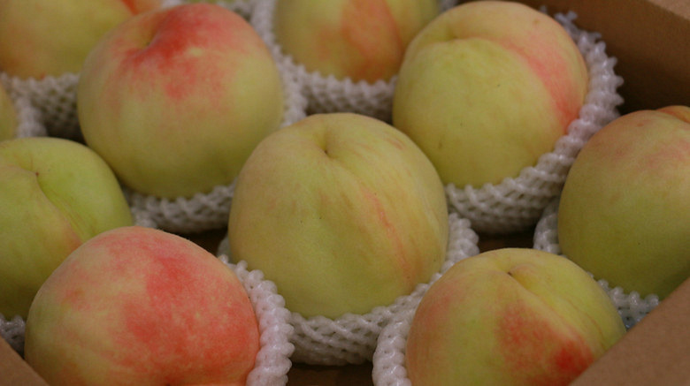 正宗凤桥水蜜桃12个装个大水足桃香四溢嘉兴辖区内配送到家