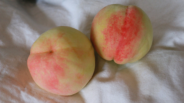 正宗凤桥水蜜桃12个装个大水足桃香四溢嘉兴辖区内配送到家