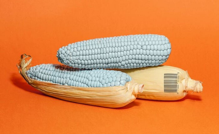 ����������δ������ һ����ɫ�Ĺ���