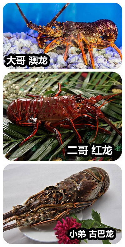 19楼婚宴达人16年婚礼人kiki姐婚宴防坑课堂开课啦