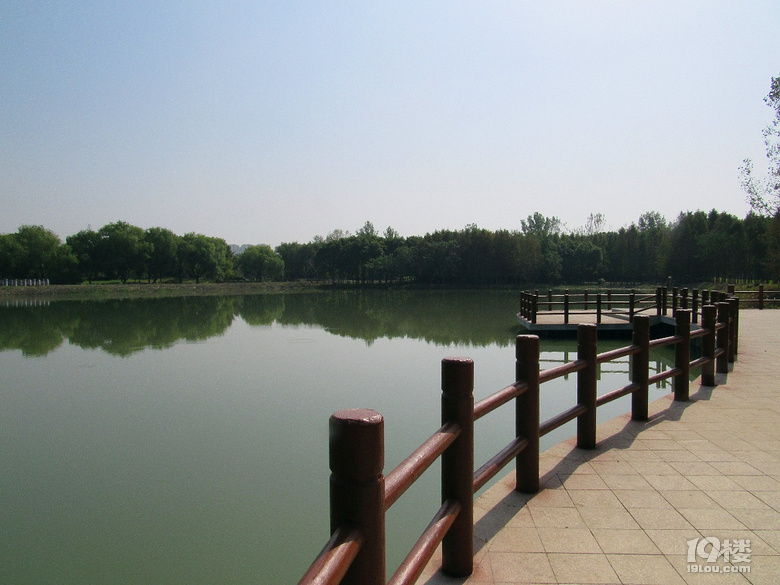 嘉兴穆湖森林公园图片