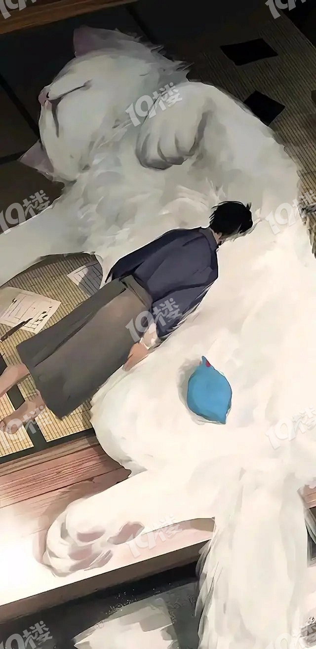 讲空头-嘉兴19楼