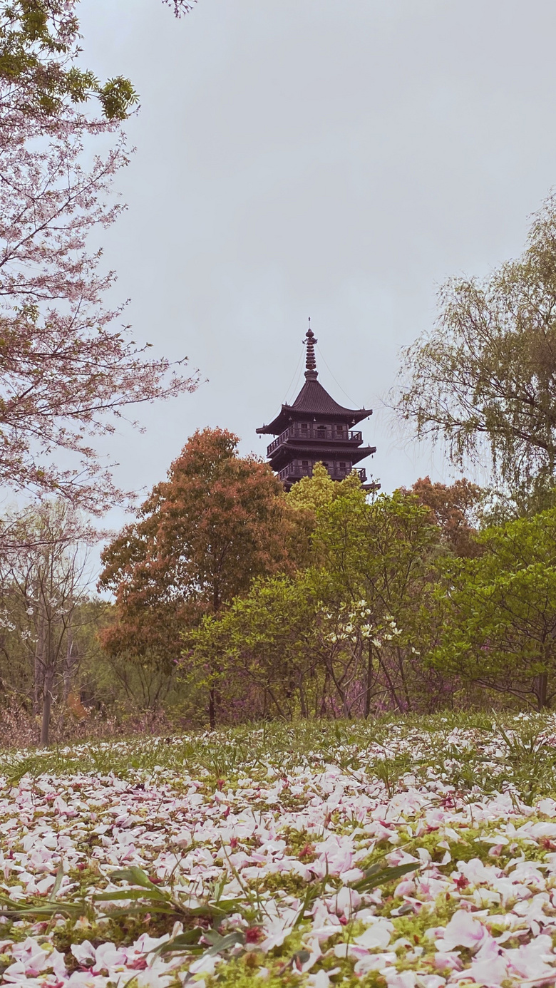 ӣ��������