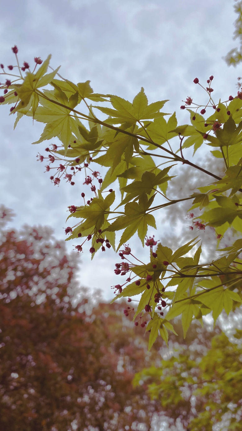 ӣ��������