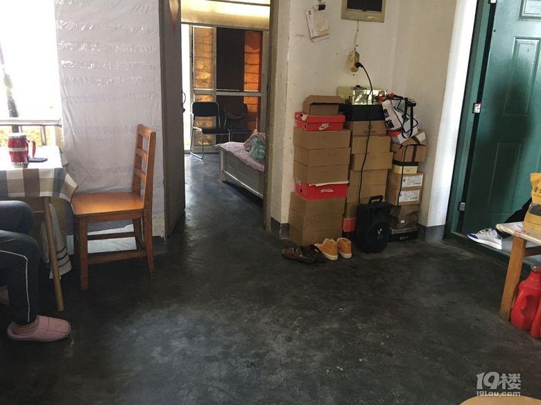 标准一室一厅一厨一卫 70年产权 小区好位置 照片户型图都是实图