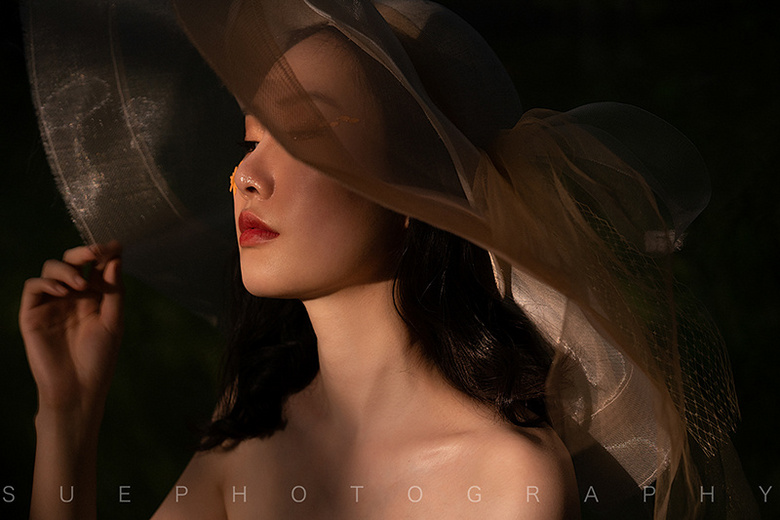 �����������Ĺ��Ӱ ����Ҳ����