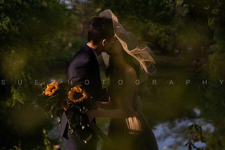 �����������Ĺ��Ӱ ����Ҳ����