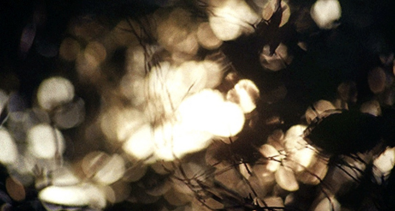 �����������Ĺ��Ӱ ����Ҳ����