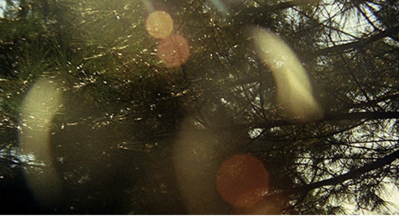 �����������Ĺ��Ӱ ����Ҳ����