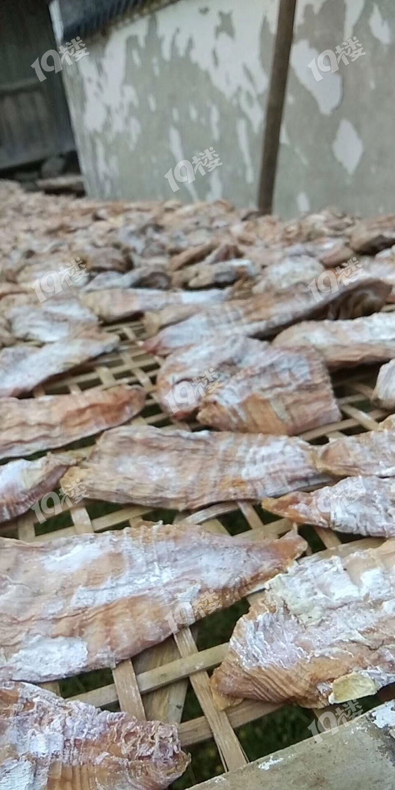 毛笋干煮熟晒干不加盐父母压着四五百斤浙江丽水山里竹笋