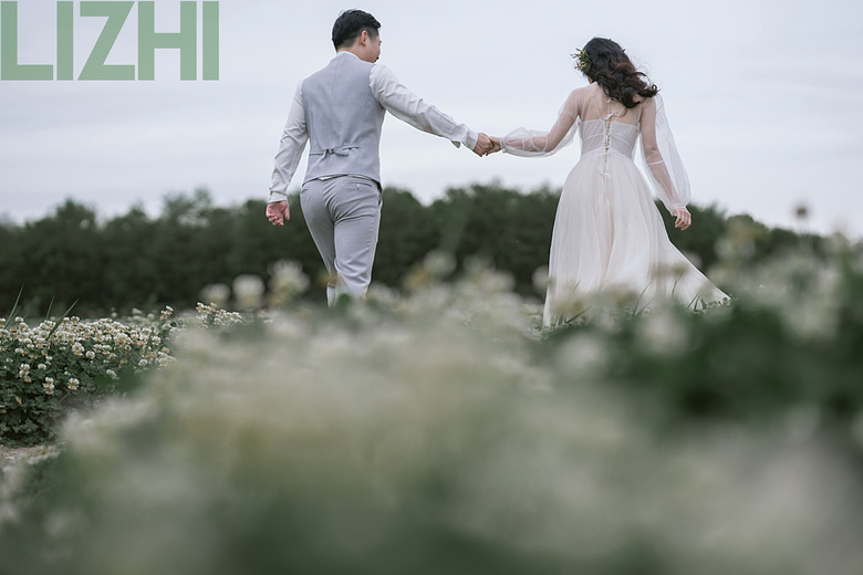 �Ҷ���İ���������ղ���