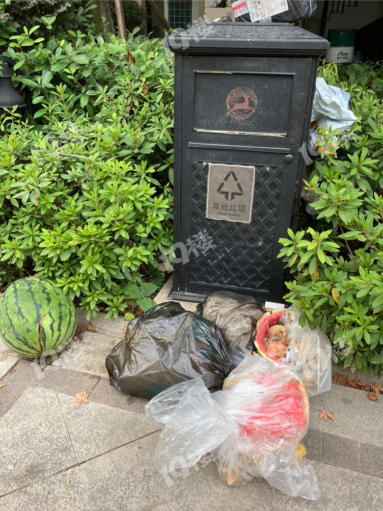 小区地面乱扔垃圾该怎么办