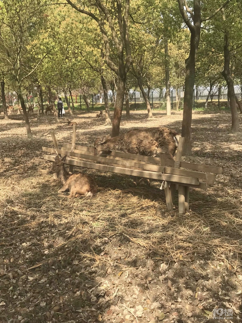 春游记八福农场