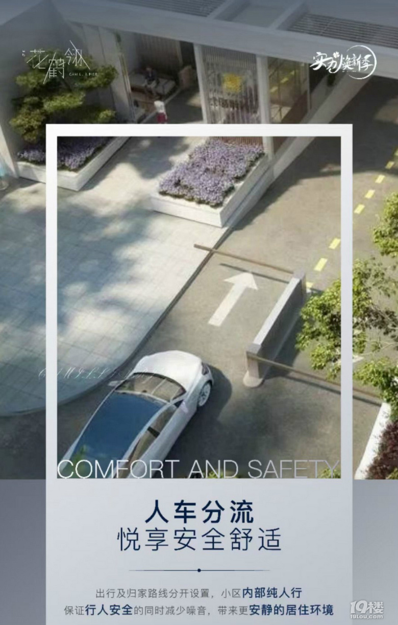 吴江汾湖黎里镇花鹤翎—内部折扣