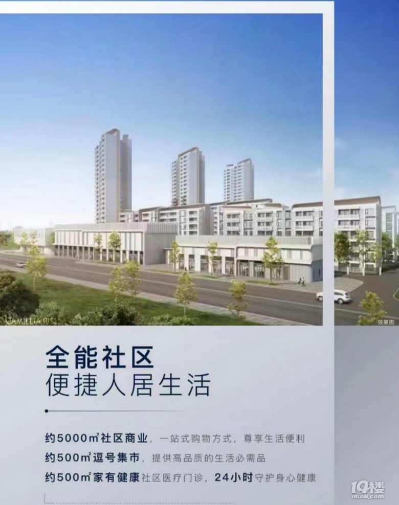 吴江汾湖黎里镇花鹤翎—内部折扣