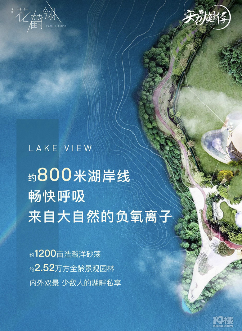 吴江汾湖黎里镇花鹤翎—内部折扣