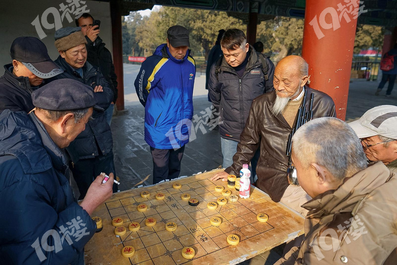 象棋沙龙图片