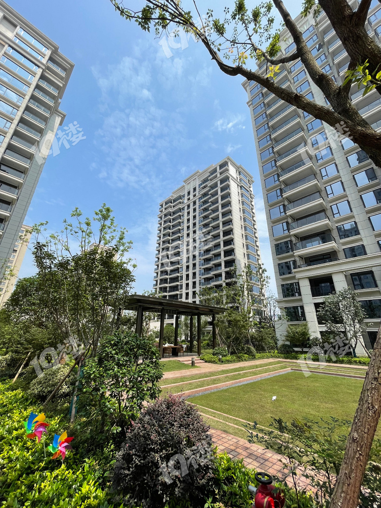 嘉兴小房奴踩盘记运河新区封面之作苏嘉久境园