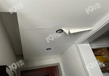 middle_1024x768-121606_v3_18171629173766824_319b35da9dddc7e098a254806a809b56_����.gif