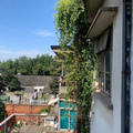 乌镇镇东大街周家弄18号