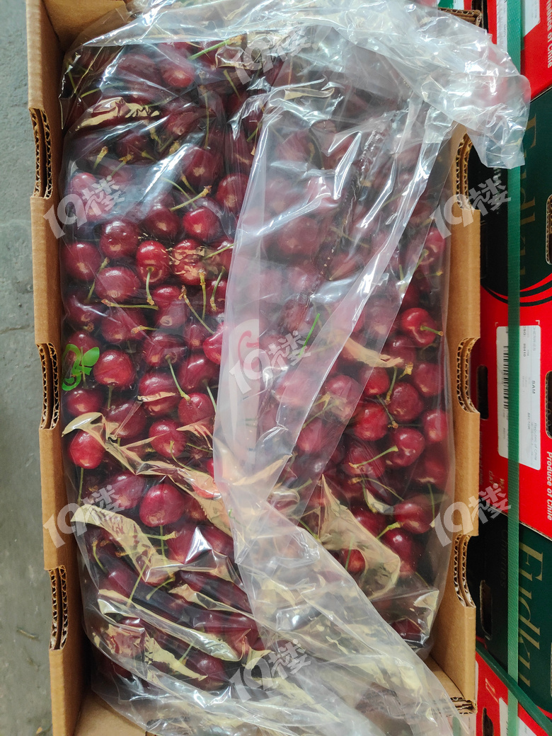 1月19日嘉兴水果市场智利车厘子行情黄色车厘子你们吃过吗