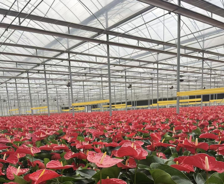 ���ڡ���ʱ�ꡱ���鿪���¸�����