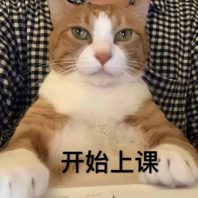 qwmQoMlWZBuAc0iXPYGTYAhVTNdgsiYt.JPEG