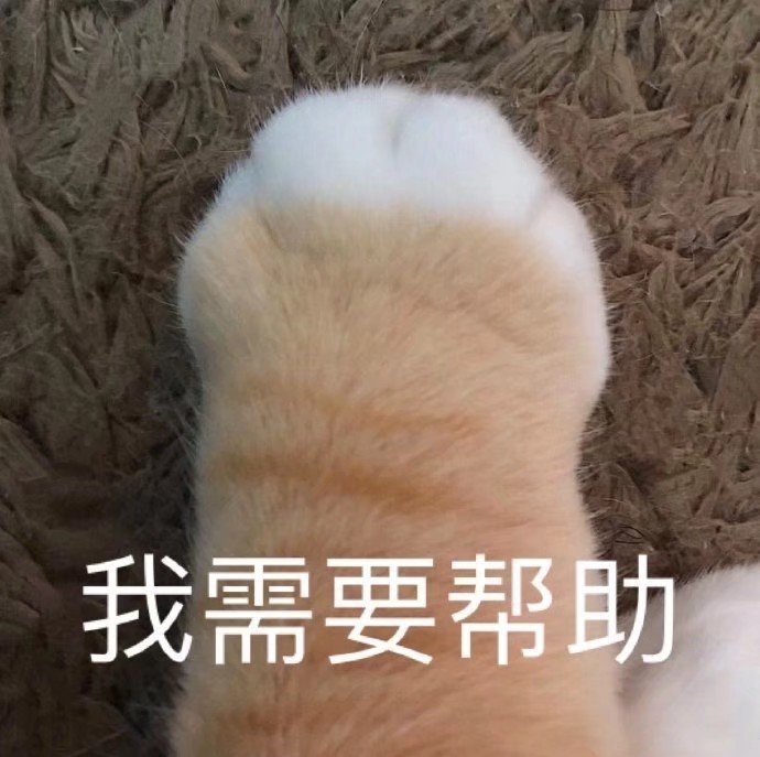 nk6ENMpqK12sMZEtsGjDJXb2N532w5kT.JPEG