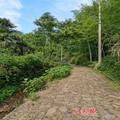 嘉兴首页秀场