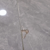 ��ש���ҳ�����ӣ�