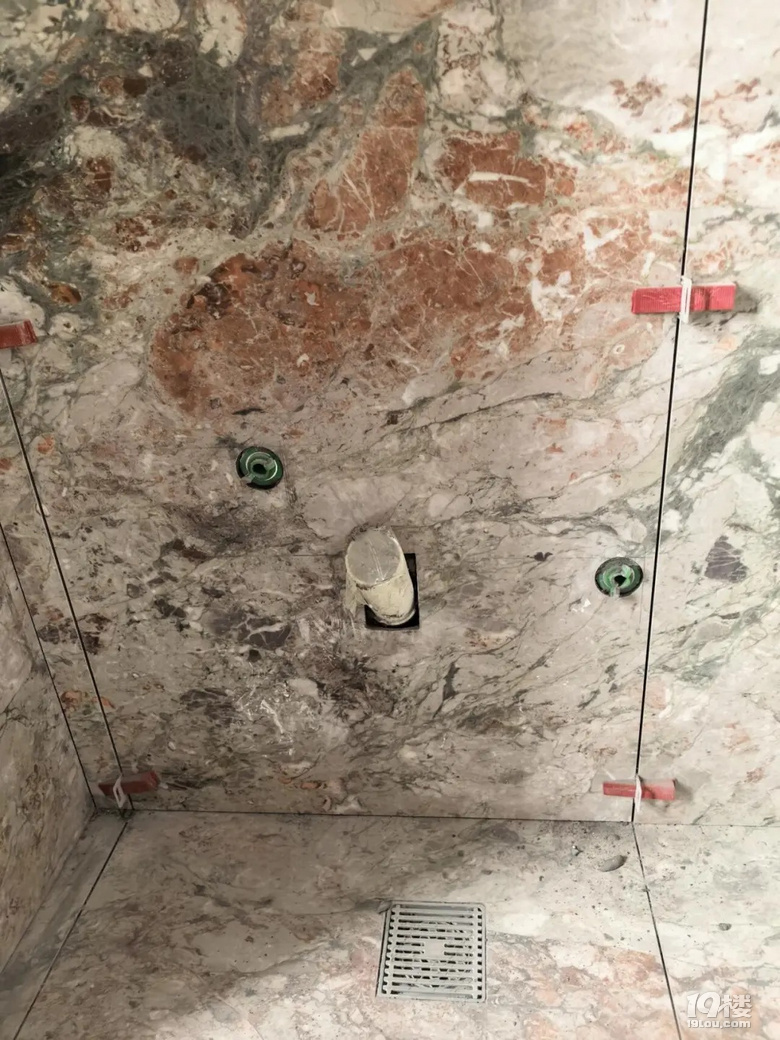 都说这个四季粉好看，我咋没感觉到呢？