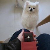 С�������μ��ҵĻ���