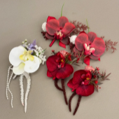 ���ҵĻ����ػ�������