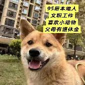 95�󱾵�Ů����