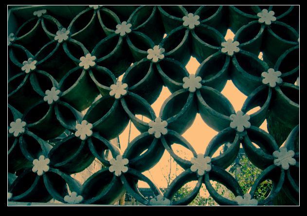 【凤桥桃花节】去年今日此门中