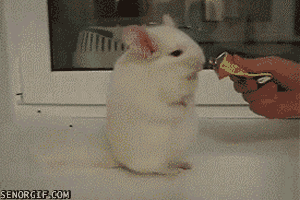 68f5e3afjw1dft7vbmydjg.gif