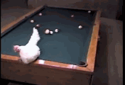 61b69811jw1dh4p2p915bg.gif