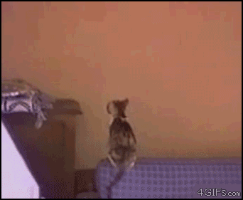 6927f719jw1dh5s4injppg.gif